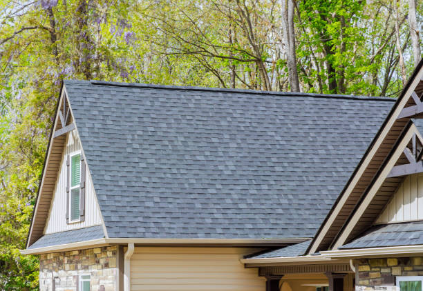 Best Chimney Flashing Repair  in Mechanicsville, VA